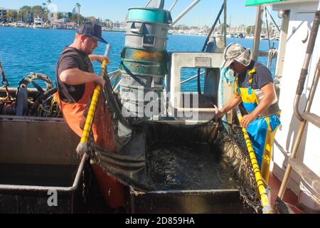 Fishing Pier, Venice Beach, Los Angeles, Kalifornien, USA Stockfoto