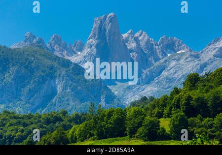 Die Naranjo de Bulnes (bekannt als PICU Urriellu in Asturien), Picos de Europa Nationalpark, Asturien, Spanien, Europa Stockfoto