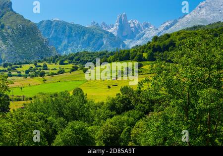Die Naranjo de Bulnes (bekannt als PICU Urriellu in Asturien), Picos de Europa Nationalpark, Asturien, Spanien, Europa Stockfoto