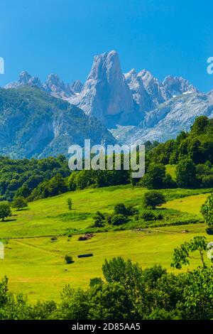 Die Naranjo de Bulnes (bekannt als PICU Urriellu in Asturien), Picos de Europa Nationalpark, Asturien, Spanien, Europa Stockfoto