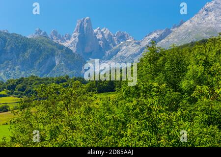 Die Naranjo de Bulnes (bekannt als PICU Urriellu in Asturien), Picos de Europa Nationalpark, Asturien, Spanien, Europa Stockfoto