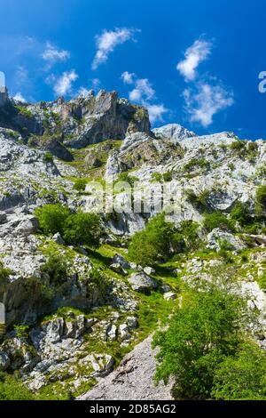 Canyon in Duje River, Picos de Europa, Asturien, Spanien, Europa Stockfoto