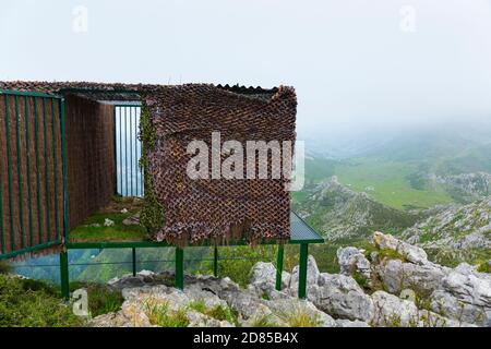 Wiedereinführung des Bartgeiers in den Kantabrischen Bergen, Nationalpark Picos de Europa, Asturien, Spanien, Europa Stockfoto