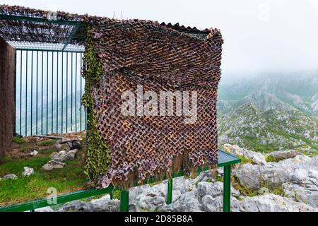 Wiedereinführung des Bartgeiers in den Kantabrischen Bergen, Nationalpark Picos de Europa, Asturien, Spanien, Europa Stockfoto