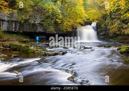 Den Moment des Flusses in Spate bei Cauldron Falls, West Burton, Yorkshire Dales, Großbritannien Stockfoto