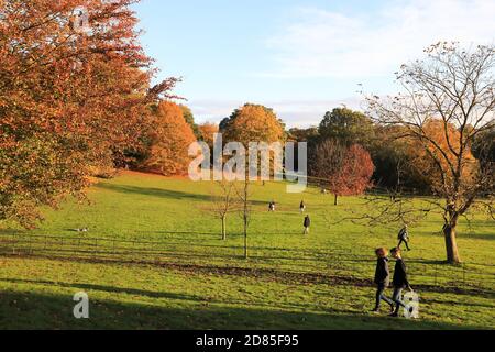 Wunderschöne Herbstfarben auf Hampstead Heath im Norden Londons, Großbritannien Stockfoto