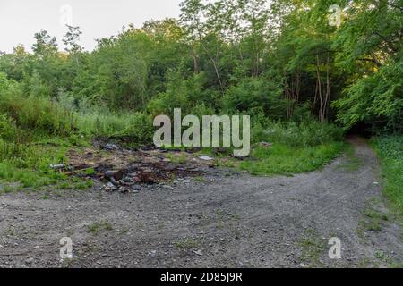 Müllhalde in freier Wildbahn, Konzept Weltumwelttag Stockfoto