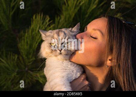 Nettes Mädchen küsst ihre schöne lustige mürrische Katze. Katze mit Besitzer. Liebe für Katzen. Der Besitzer einer frechen Katze. Katze wird wütend, wenn der Besitzer ihn küsst. Stockfoto