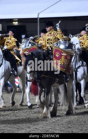 Trommelpferd der berittenen Band der Blues und Royals Stockfoto