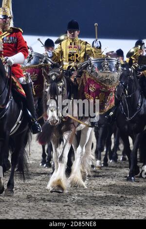 Trommelpferd der berittenen Band der Blues und Royals Stockfoto