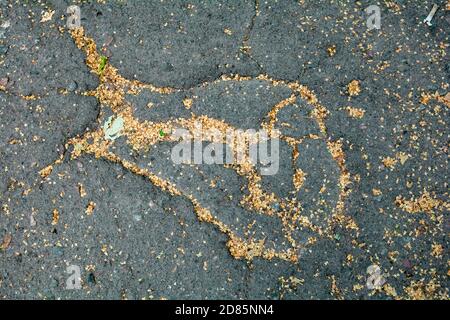 Geknackter Asphalt Pflaster mit viel Samen. Alte Stadt Fußweg mit Rissen und Straßenkresten. Blick von oben auf gesprungenen Asphalt Stockfoto