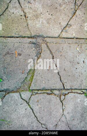 Draufsicht abstrakt geknackt Beton Ziegel Pfad Textur. Zerbrochene Gehwegfliesen aus der Nähe, durch ihre Risse und Risse bricht Gras durch Stockfoto