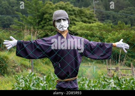 Eine Figur im Feld, die über den Zaun zur Kamera schaut. Vogelscheuche mit weißen Gesichtsmaske stehen im Garten, Japan. Stockfoto