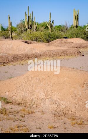 Casa Grande Ruins National Monument Stockfoto