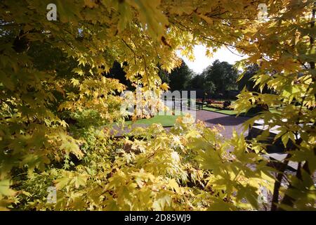 Ayr, Schottland, 07. Oktober 2019 Belleisle Park, Ayr Credit : Alister Firth Stockfoto