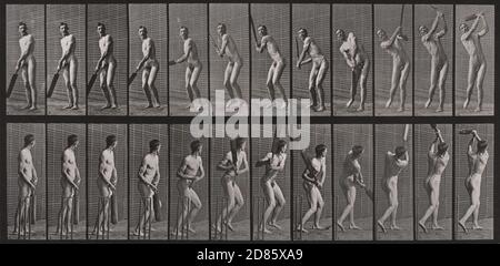 Vintage-Foto Eadweard J. Muybridge - Cricket, Batting and Drive – Platte 291 aus Animal Locomotion (1887) 1884-86 Stockfoto