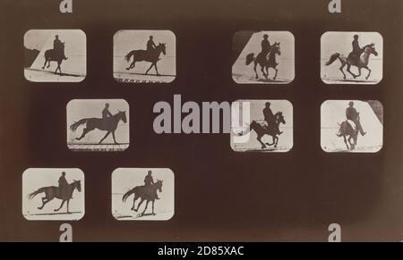 Vintage-Foto – Eadweard J. Muybridge - Studien der Vorsehungen (Mann auf Pferd) 1878-79 Stockfoto