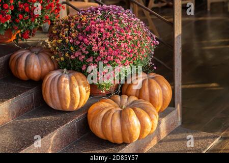 Thanksgiving oder Halloween dekoriert Haustür mit großen Kürbissen und Chrysantheme. Konzept der Herbstsaison Stockfoto