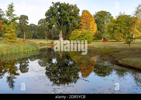 Herbstlaub am Thorp Perrow Arboretum, nahe Bedale Stockfoto