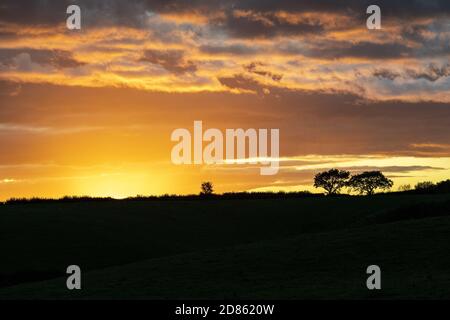 Sonnenuntergang in Irthington, Cumbria UK Stockfoto