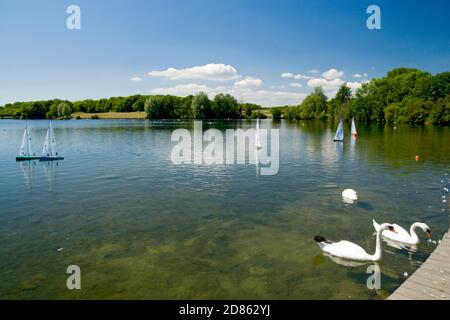 Schwäne und Modellboote auf lak, Cosmeston Lakes Country Park, Penart, Tal von Glamorgan, Südwales. Stockfoto