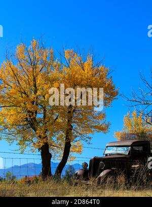 Alter Pick-Up Truck Stockfoto