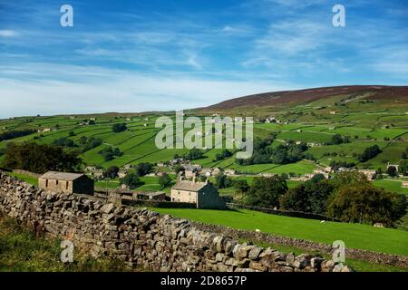 Landschaft von Swaledale im Herbst mit vielen Steinscheunen und rosa Heidekraut in voller Blüte, aufgenommen von High Lane mit Blick auf Feetham, Yorkshire Dales Nationa Stockfoto
