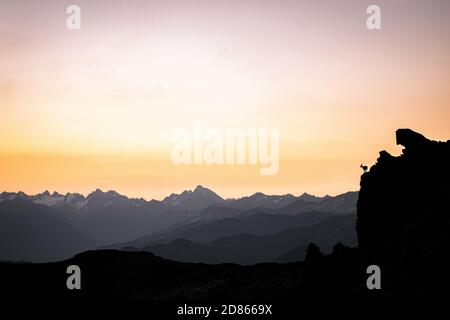 Silhouette einer walking Gämsen in den Schweizer Alpen Stockfoto