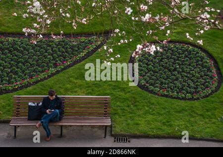 Guildford, Vereinigtes Königreich - Mai 05, 2019 : EIN Mann sitzen und drücken mobile auf Holzbank im grünen Park. Kein Fokus, speziell. Stockfoto