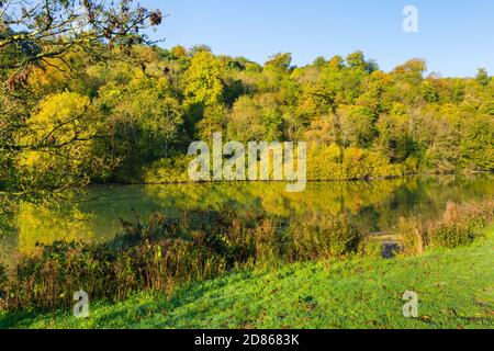 Blick auf das Wasser und die Bäume im Herbst am See Swanbourne, Arundel, West Sussex, England, UK. Stockfoto