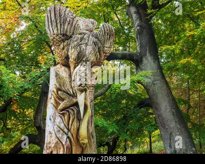 Kingfisher Baumskulptur auf Abbey Road im Herbst Knaresborough North Yorkshire Yorkshire England Stockfoto