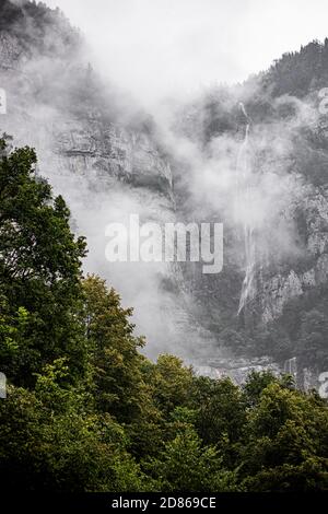 Schöne neblige Landschaft in den Bergen. Bäume in schweizer Bergen nach Regen. Schweiz Stockfoto