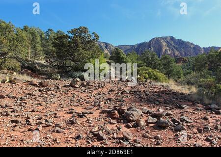 Der felsige, mit rotem Schmutz übersäte Pfad des Soldier's Pass Trail, gesäumt von Kaktus, Yucca, Sträuchern, Zypressen, Kiefern und Gräsern in Sedona, Ari Stockfoto