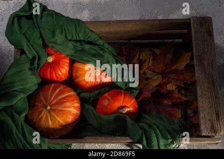 Herbst Stillleben rote Kürbisse liegen in einem grünen Schal in einer alten Holzkiste, auf dunklem Hintergrund Rustikales Herbst Stillleben mit Mini-Kürbissen auf altem Holz Stockfoto