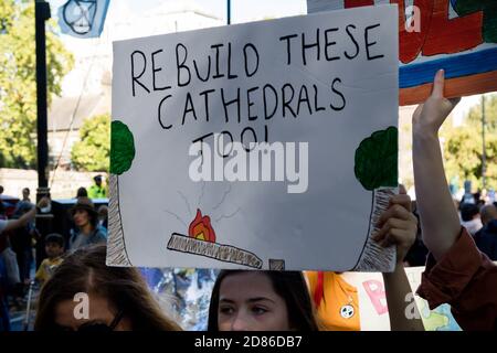 London, Großbritannien, 20. September 2019:- Demonstranten des Klimawandels versammeln sich in Westminster, im Zentrum von London in der Nähe des britischen Parlaments als Teil einer Stockfoto