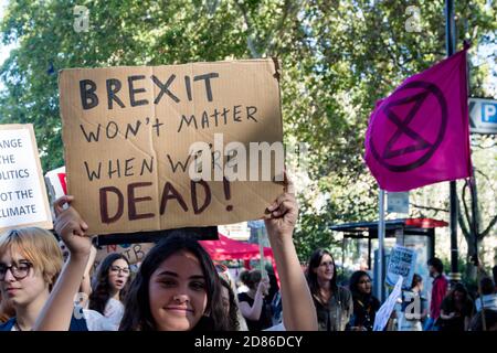 London, Großbritannien, 20. September 2019:- Demonstranten des Klimawandels versammeln sich in Westminster, im Zentrum von London in der Nähe des britischen Parlaments als Teil einer Stockfoto