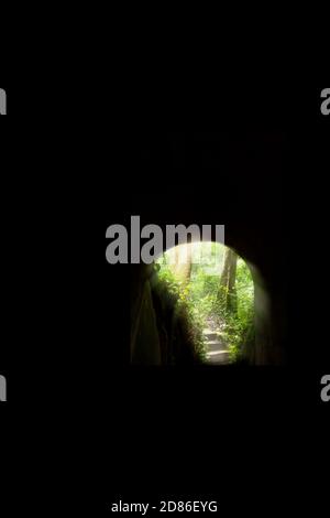 Mystische Höhle oder Tunnel bis zu einem tiefen Wald, Sonnenaufgang scheint auf Treppe, Blick von innen Tunnel Blick aus. Konzentrieren Sie sich auf Bäume. Stockfoto