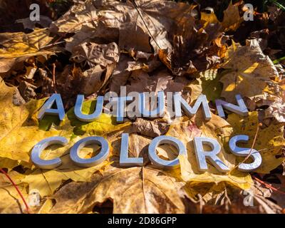 Die Worte Herbstfarben mit Metallbuchstaben über Gelb gelegt Herbst gefallene Blätter - Nahaufnahme mit selektivem Fokus Stockfoto