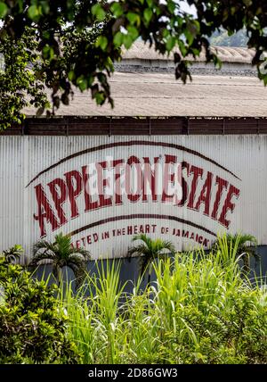 Appleton Estate Rum Factory, Detailansicht, Nassau Valley, Saint Elizabeth Parish, Jamaica Stockfoto