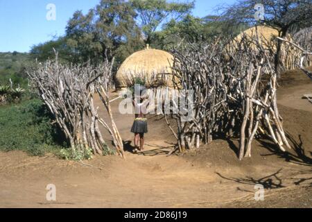 Zulu Maid tragend Wasser durch Lücke im Fechten, Zululand, Natal, Südafrika 1981 Stockfoto