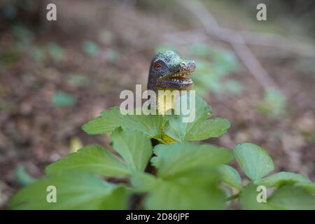 Ein Plastikdinosaurier-Modell im Freien Stockfoto