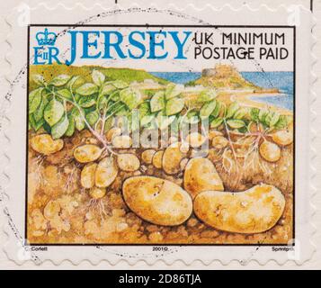 Jersey Royal Kartoffelkartoffeln auf Jersey Briefmarke - 2001 Stockfoto