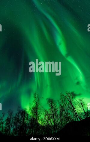 Spektakuläre farbenfrohe aurora-Darstellung über dem Sarek Nationalpark in Nordschweden am Sptmeber 23., 2020 Stockfoto