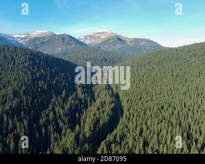 Die Straße durch den Wald zum Berg Hoverla, den Karpaten in der Ukraine. Stockfoto