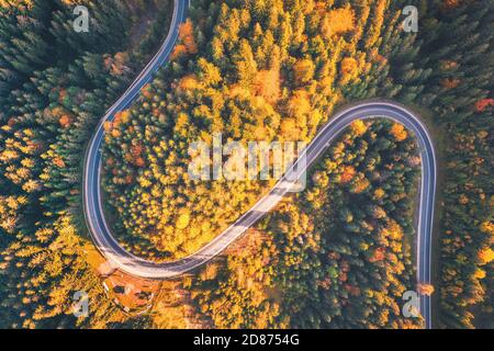 Luftaufnahme der Straße in schönen Wald bei Sonnenuntergang in Herbst Stockfoto