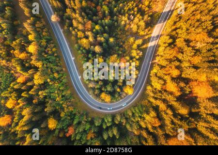 Luftaufnahme der Bergstraße im Wald bei Sonnenuntergang in Herbst Stockfoto