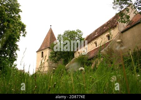 Rosia, Sibiu County, Rumänien. Die befestigte evangelische Kirche aus dem 13. Jahrhundert, historisches Denkmal. Stockfoto