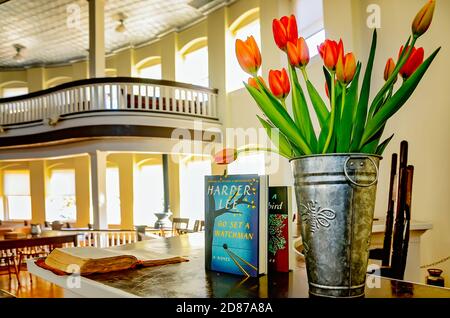 Die Bücher des Autors Harper Lee werden nach dem Tod des Autors am 19. Februar 2016 in Monroeville, Alabama, neben Tulpen im Old Courthouse Museum ausgestellt. Stockfoto