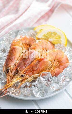 Gekochte Tigergarnelen mit Eis auf dem Teller. Leckere Garnelen. Stockfoto