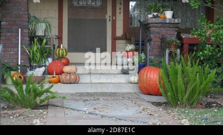 South Pasadena, Kalifornien, USA 26. Oktober 2020 EIN allgemeiner Blick auf die Atmosphäre der Halloween-Dekorationen am 26. Oktober 2020 in South Pasadena, Kalifornien, USA. Foto von Barry King/Alamy Stockfoto Stockfoto